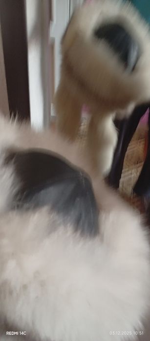 Срочно продам. Шапка мех песец