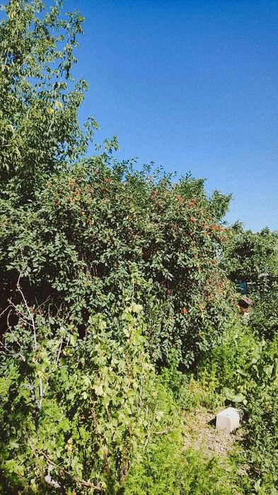 Продам частный дом