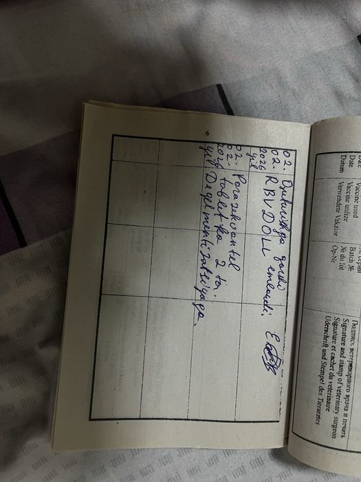 щенки немецкой овчарки, документы имеються