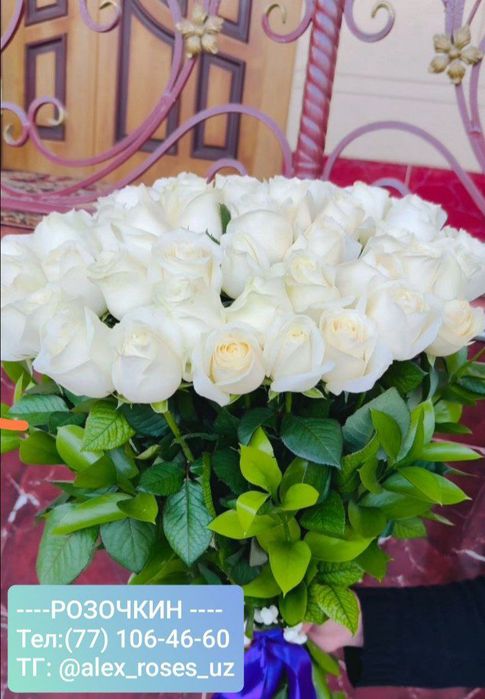Доставка Розы 101шт за 650.000сум