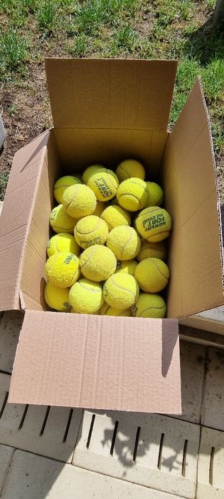 Mingi tenis camp Wilson