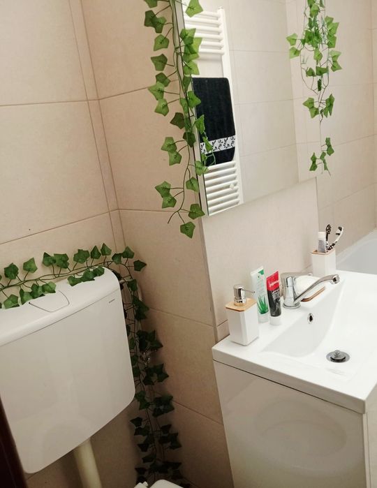 Apartament 2 camere, oferta