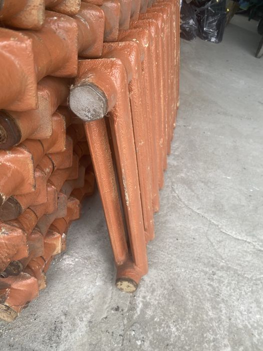 Чугунные ботореи