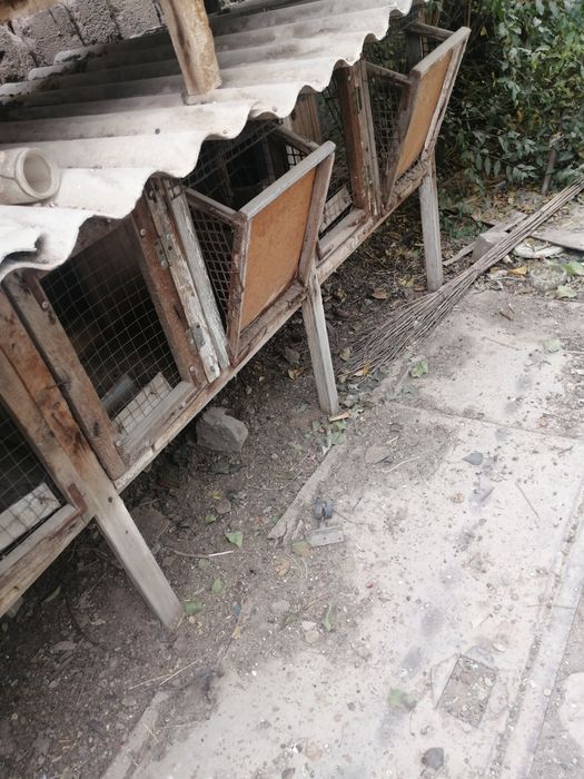 Отдаю даром  крольчатники