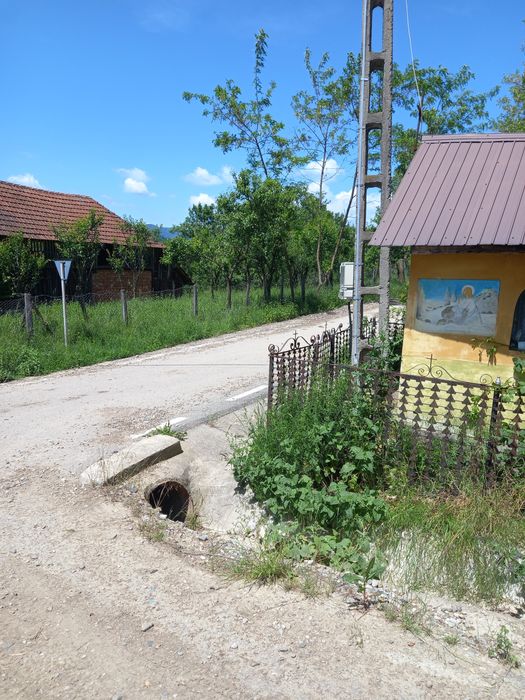 Vand teren Corbsori, Arges