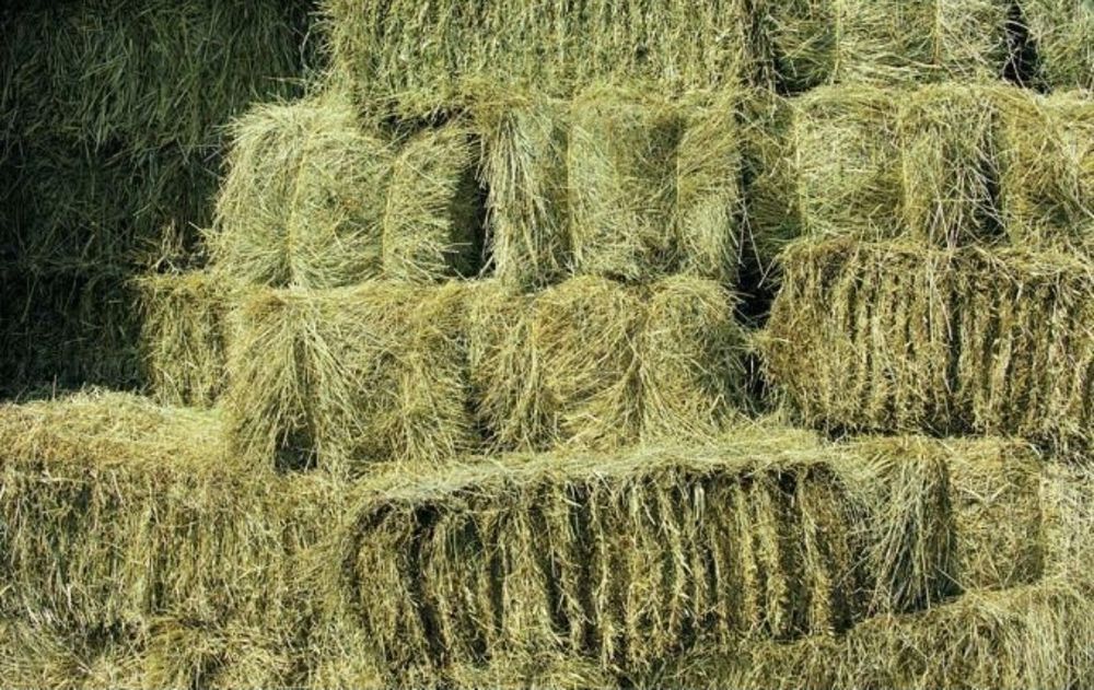 Продавам бали сено,