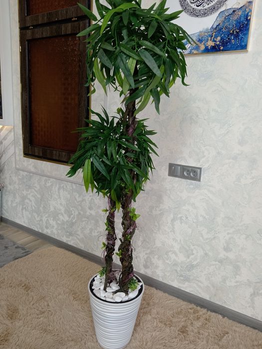 Искусственные ростени, исключение дерева. Искусственные цветы для офис