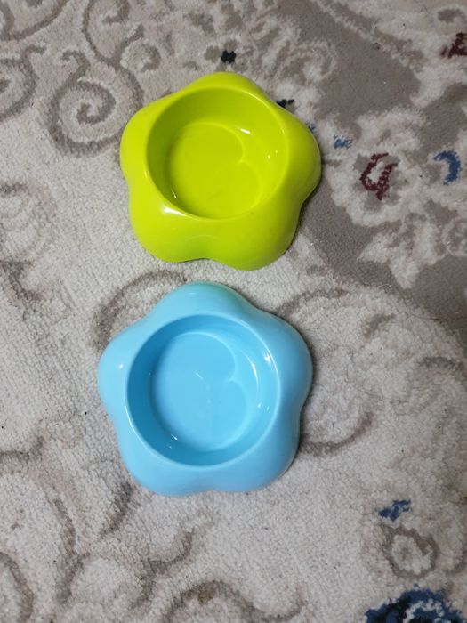 Миски и латок для кота