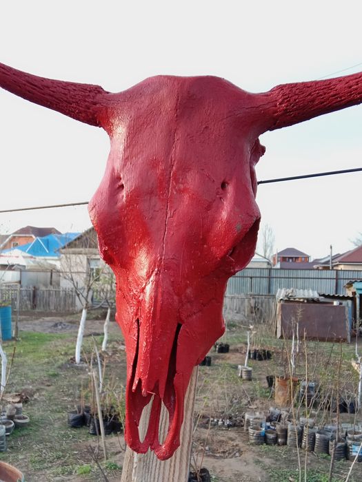 Голова Быка для декора сада