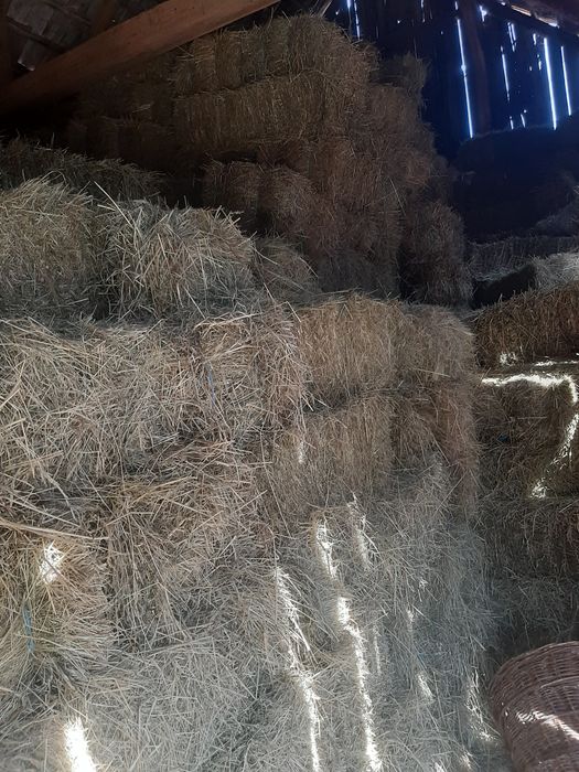 Vand baloti de fân.