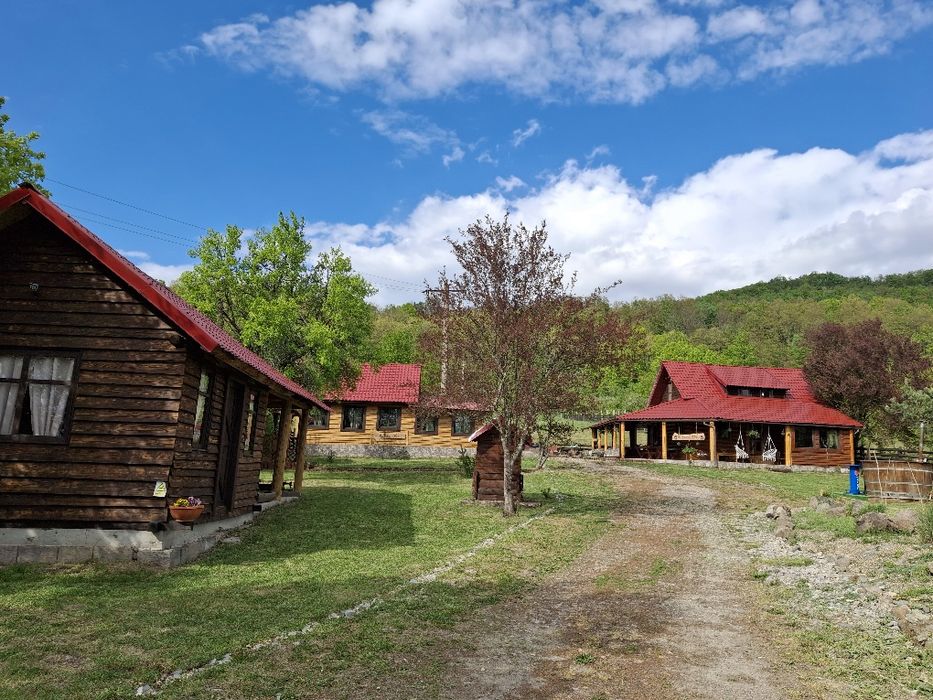 Cabane de închiriat