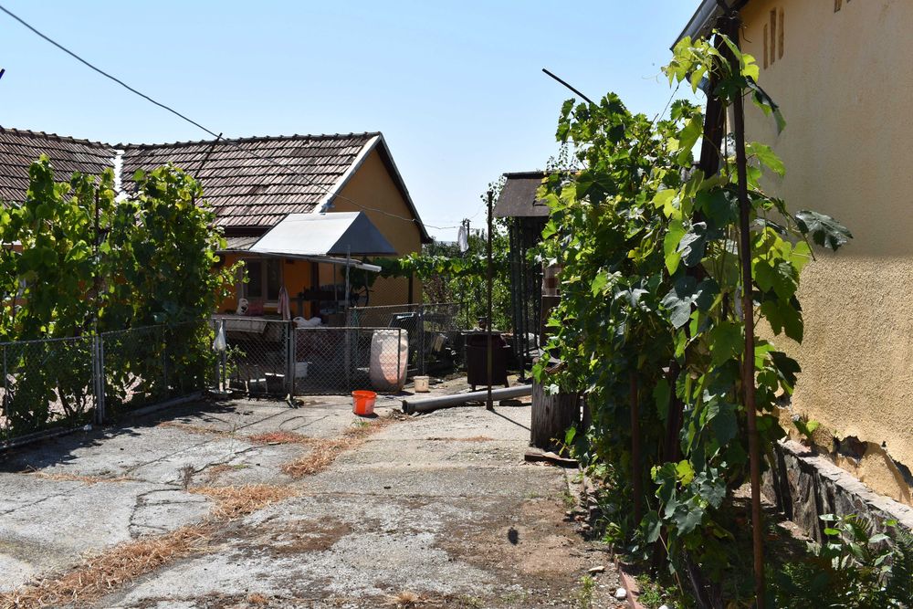 Vand casa, anexe gospodaresti si gradina