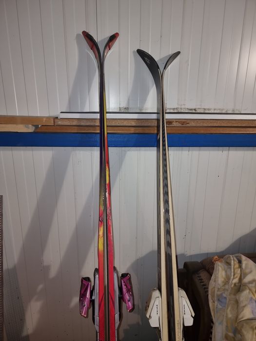 Schiuri salamon si volkl