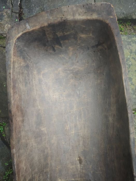 нощви големи стари