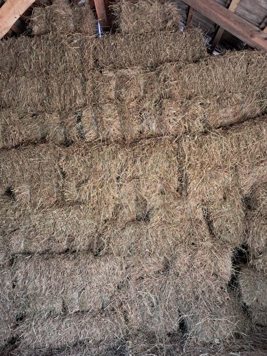 De Vânzare baloți de fân