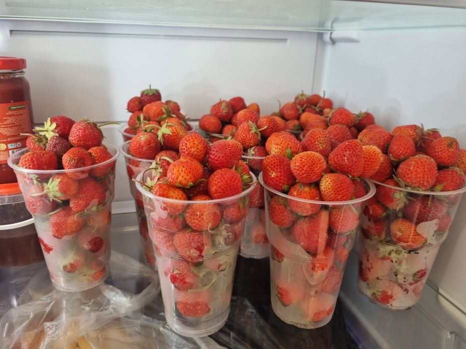 Рассады Клубника мурано