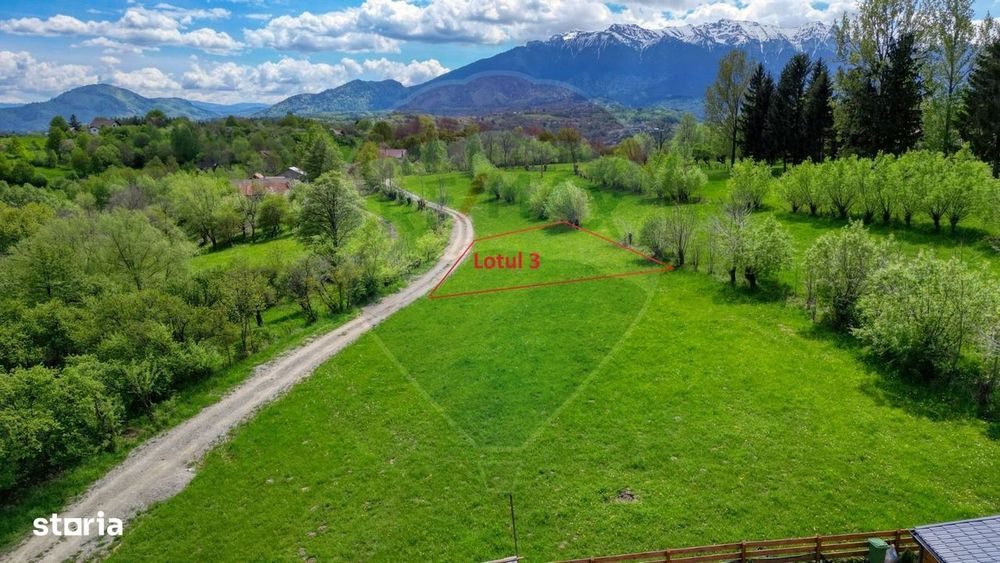 Teren 500mp-1000-2000mp, intravilan, intre Bran si Zarnesti (Tohanita)
