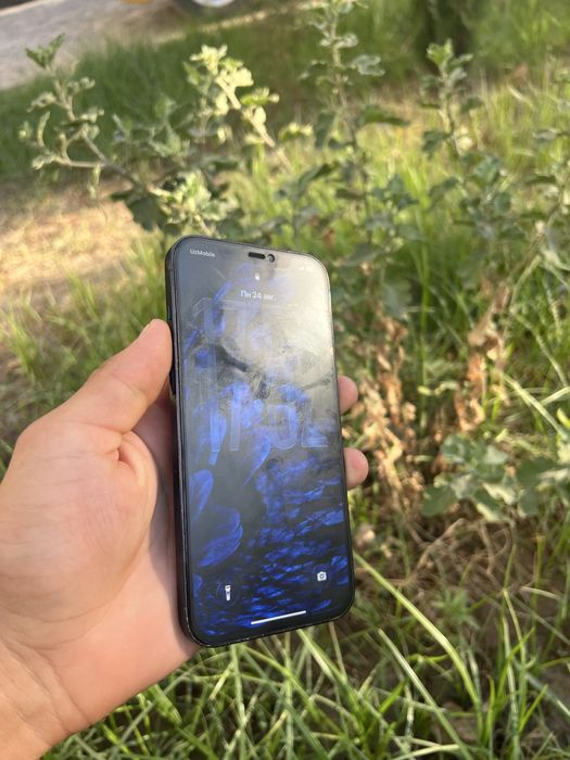Iphone 12 pro max 256gb