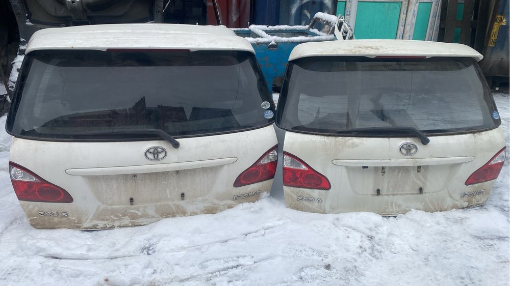 Ноускат Ипсум S комплектация