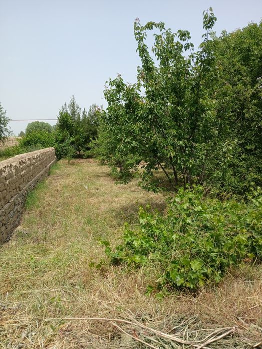 Uy sotiladi Sharof Rashidov tumani maydoni 9.5