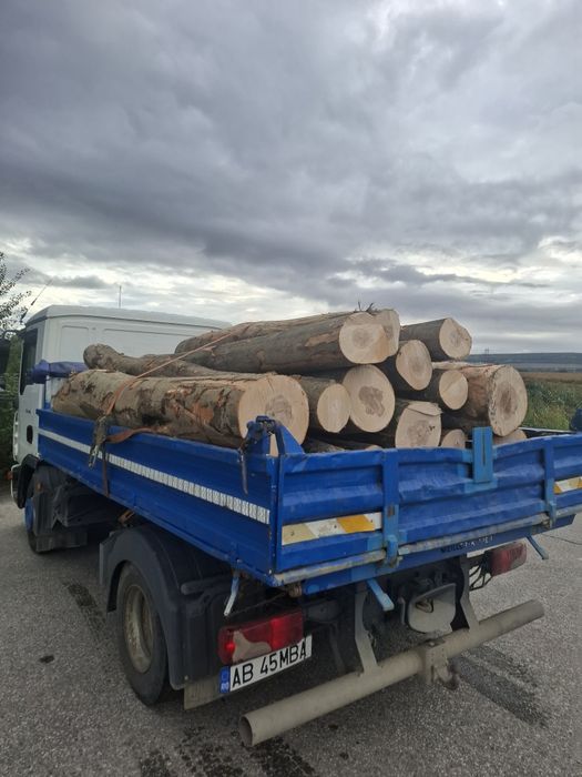 Lemn foc fag buștean  330 lei sterul