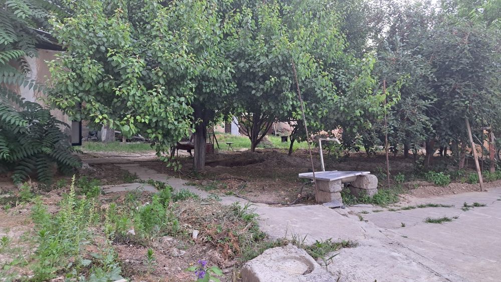 Лимонария 8 соток ховли сотилади