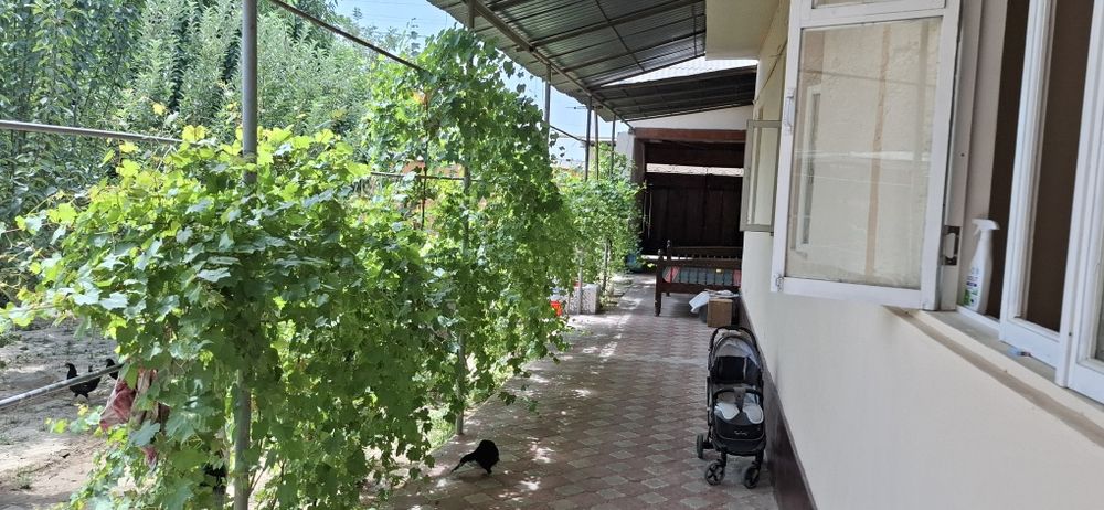 Nazarbek beshqorgon mahallasida  SROCHNIY uchaska sotiladi ozimizani u