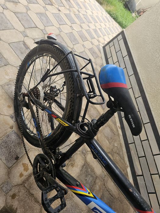 Skors velasaped Holati ideal