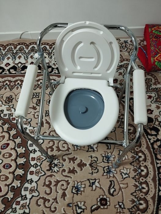 Био туалет стульчик