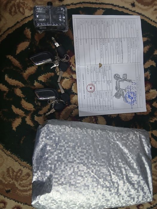 Revion skuter elektronni