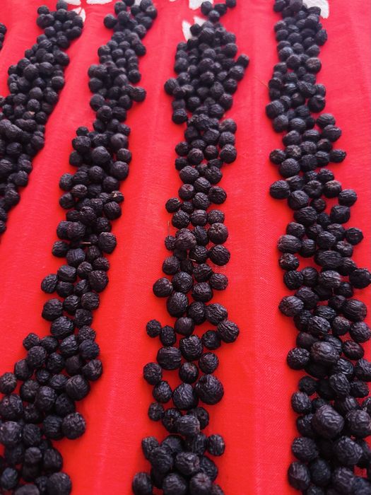 Aronia uscata/deshidratata