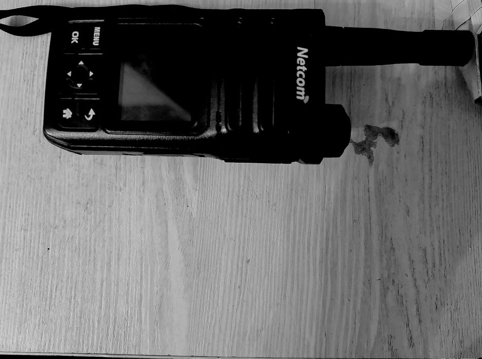 prakat arenda прокат аренда