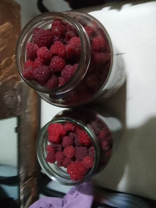 Свежесобранная малина