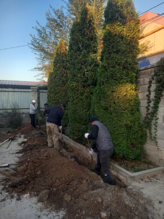 Посадка, пересадка растений.