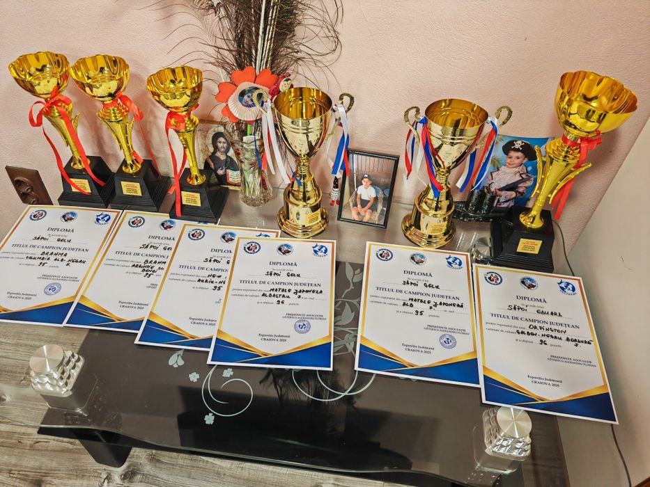 Găini Orpington auriu