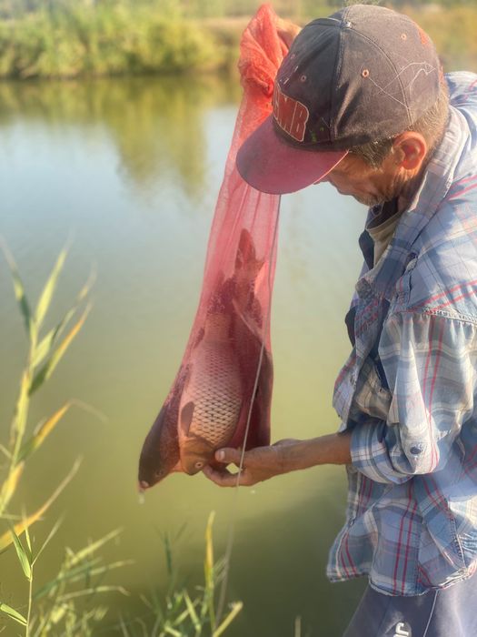 Рыбалка, проточная вода. Вкусная очень рыба