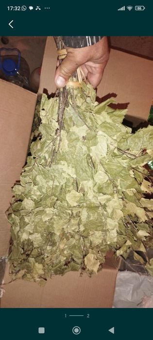 Продам веники для бани и сауны