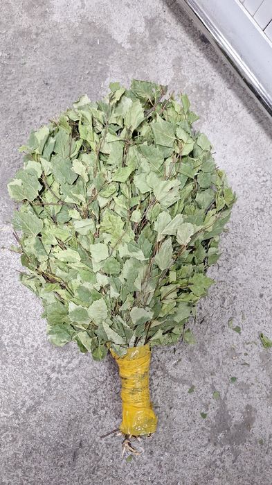 Веник для бани и сауна