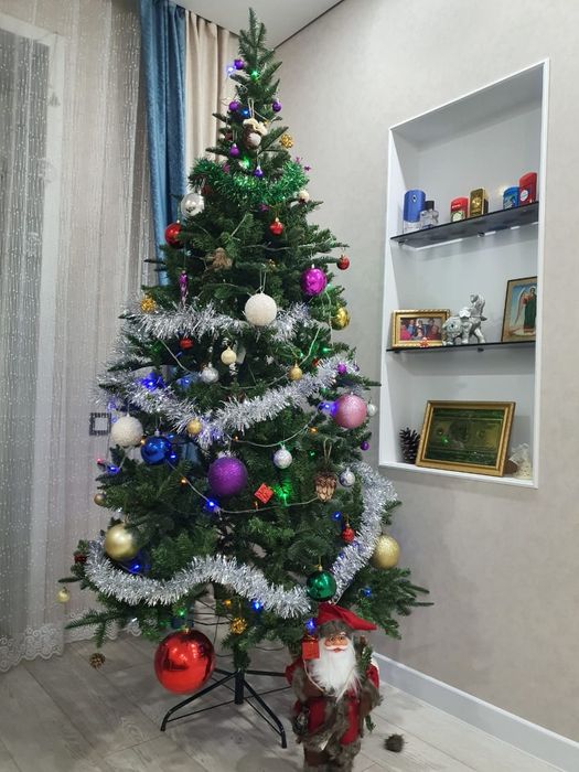 Продам ель 240см