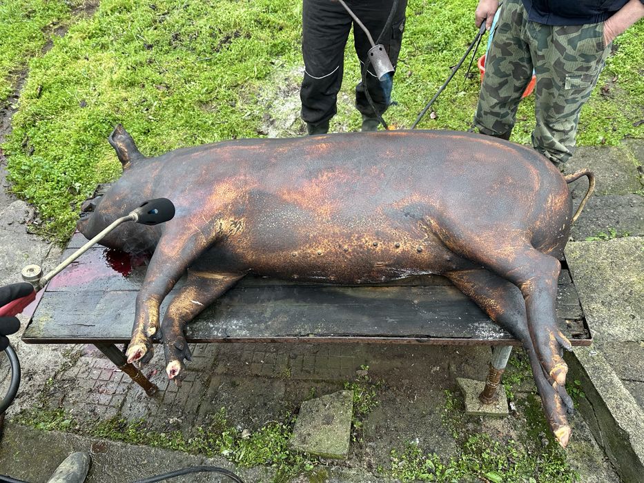 Домашни-Мас,Сланина,Пръжки,Филе