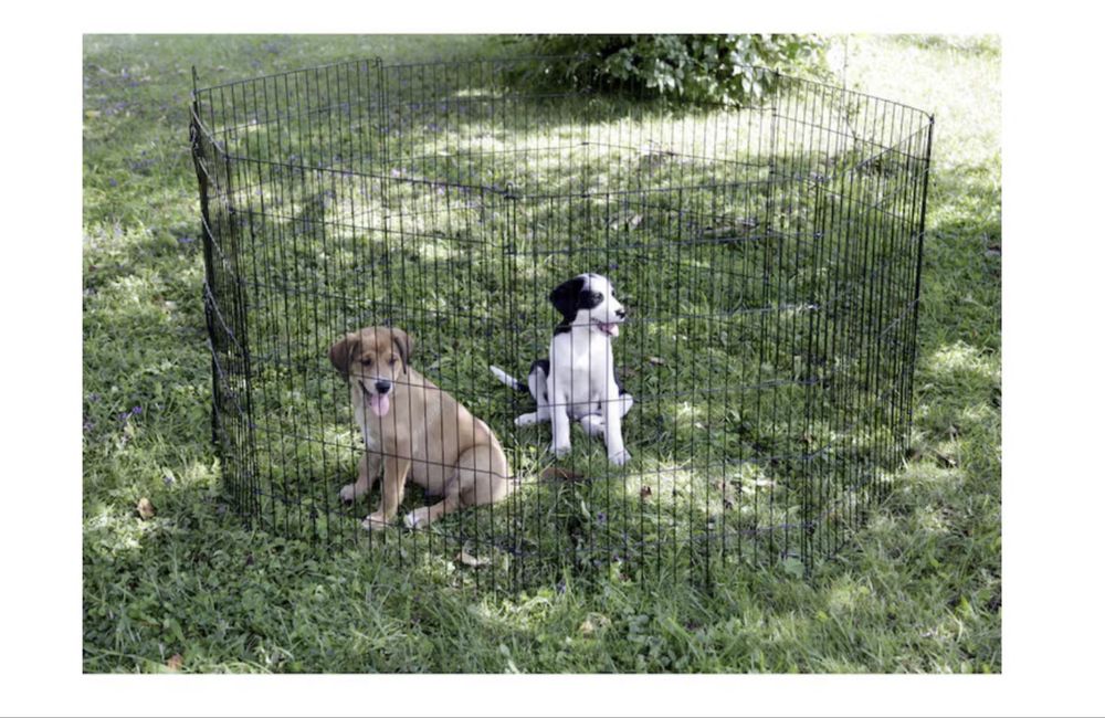 Клетка (заграждение) за кучета