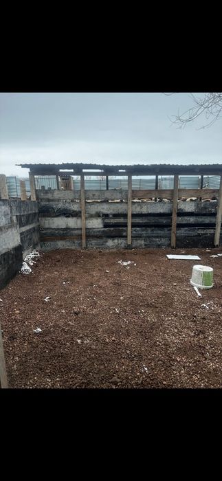 Ферма с Баранами