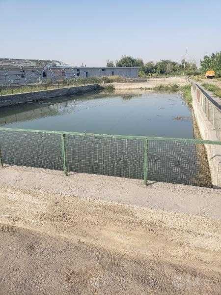 Intensiv, yopiq suv aylanma tizimli baliq yetishtirish bino-inshooti