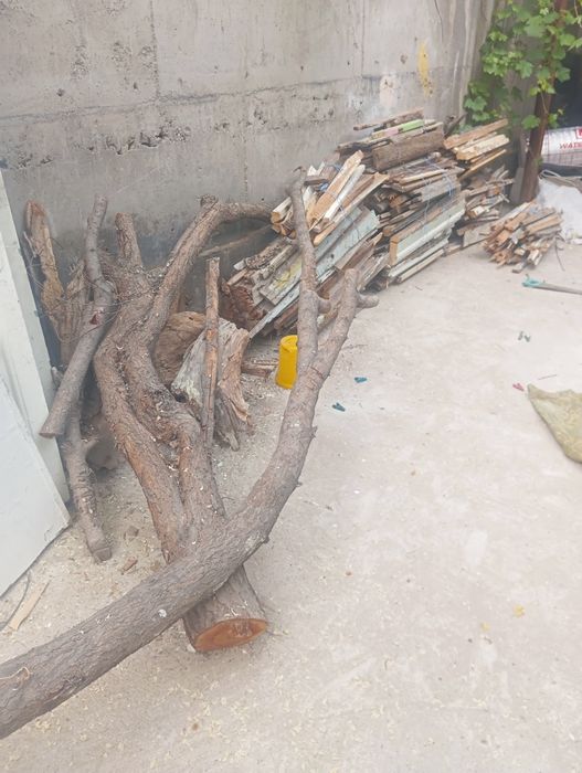 O'tinlar eski uydan chiqan