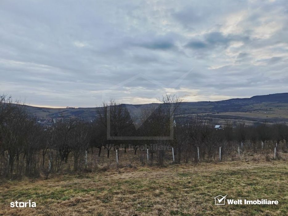 2 parcele de 1000 mp de vanzare, Macicasu