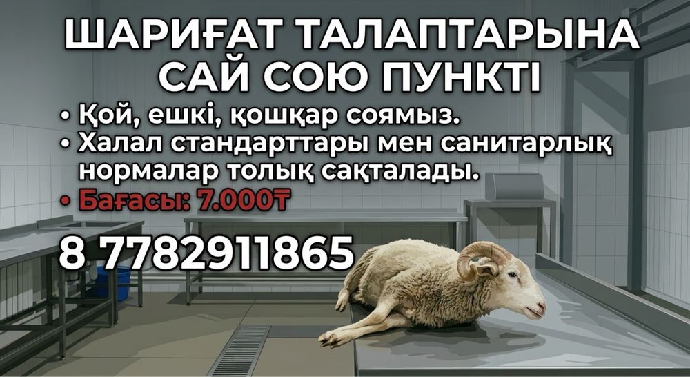 Қой сою,Қой,Ешкі.Шымкент қаласы