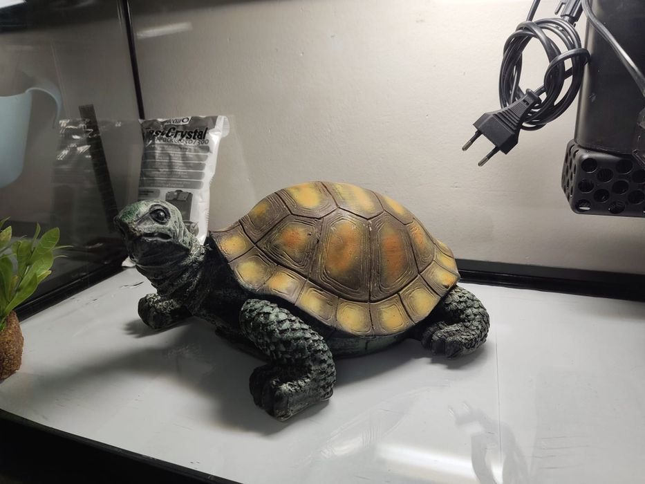 Acvariu complet,  60 cu 30 cm. Plus cadou!!!