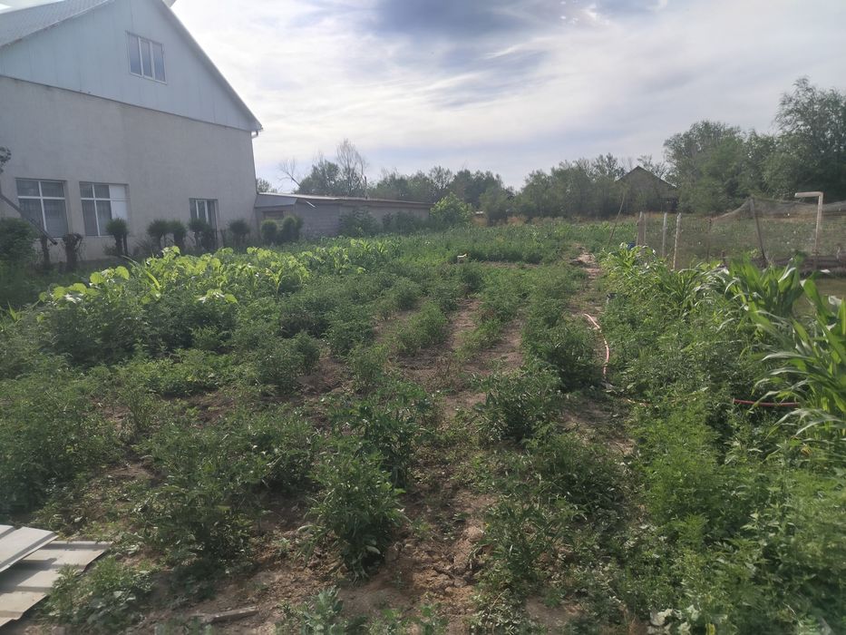 Продам дом в хорошем состоянии