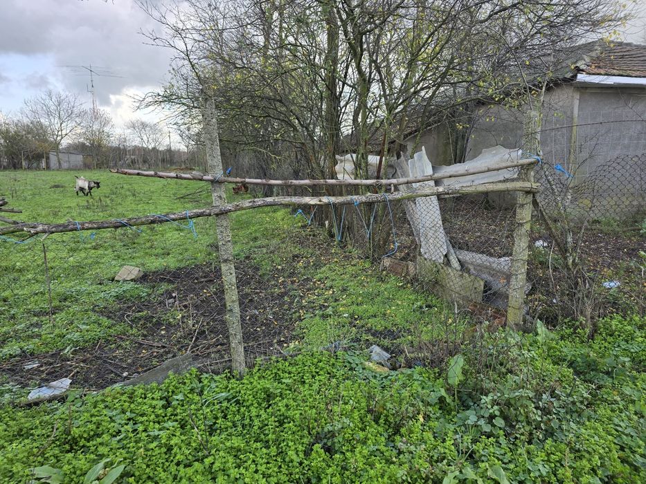 Teren  intravilan  Baraganu  Constanta