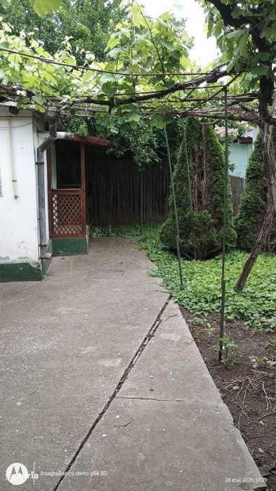 Viile Noi | Casa Batraneasca | Teren 317 | Toate Utilitatile|Deschider